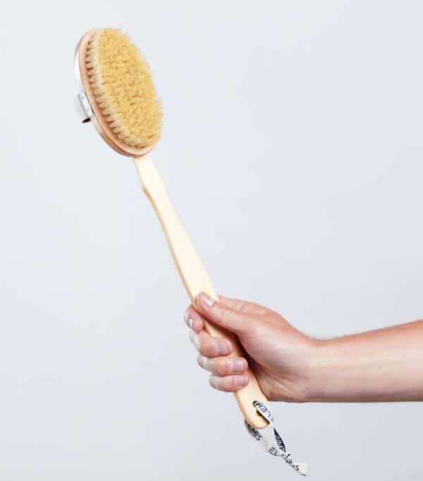 Body Detox Skin Brush - Image 5